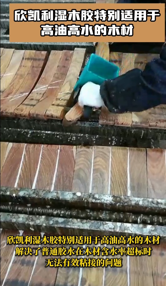 欣凱利濕木膠是一種高性能、高適應(yīng)性的膠粘劑