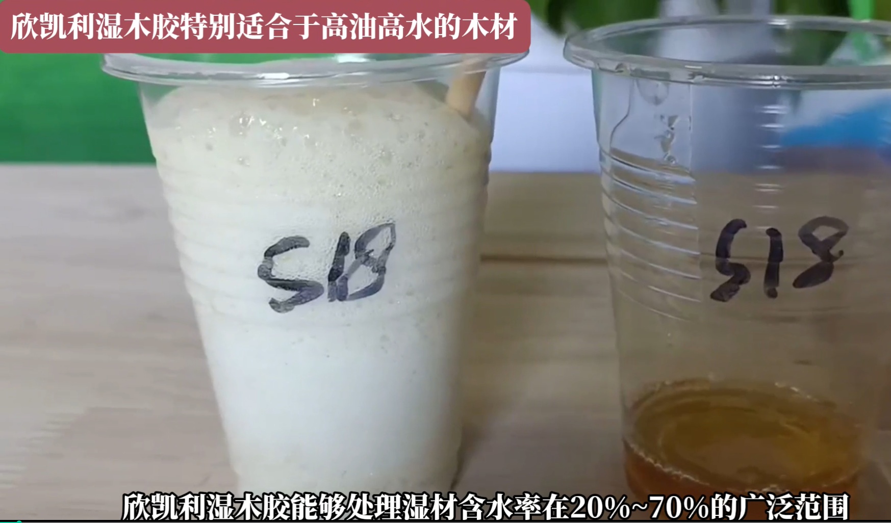 欣凱利濕木膠特別適合于高油高水的木材，快干、快固化