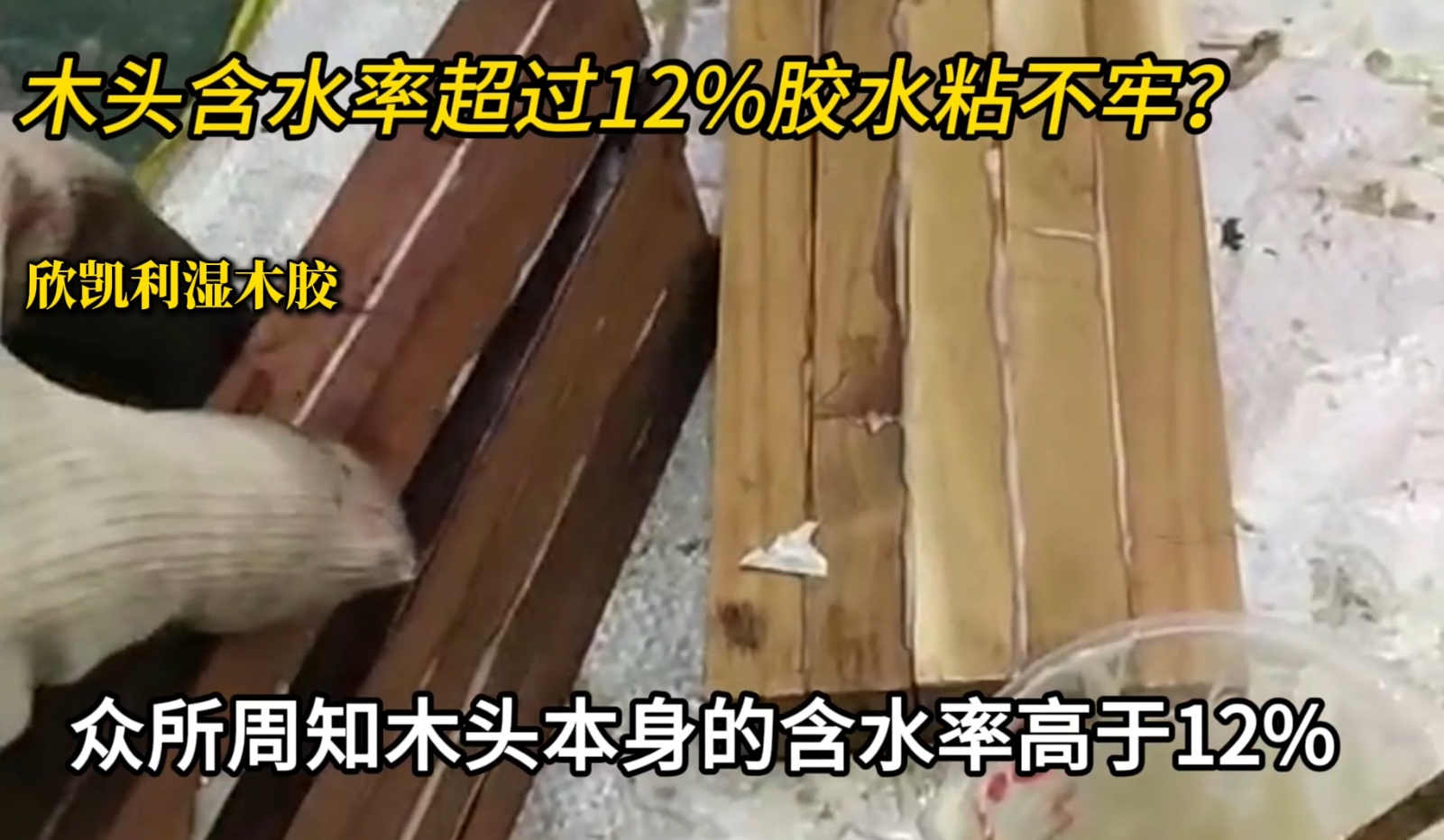 欣凱利濕木膠可用于：橡木、胡桃木、楓木、櫻桃木松木、杉木等木種