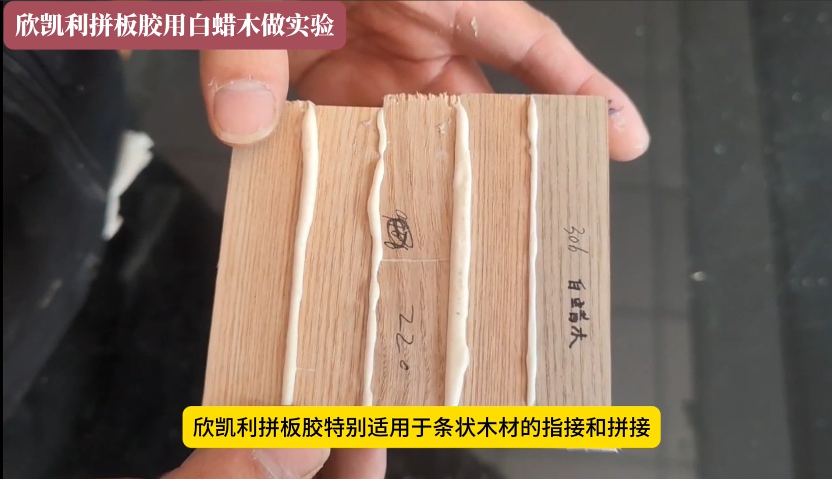 欣凱利硬木拼板膠的適用木材種類有哪些