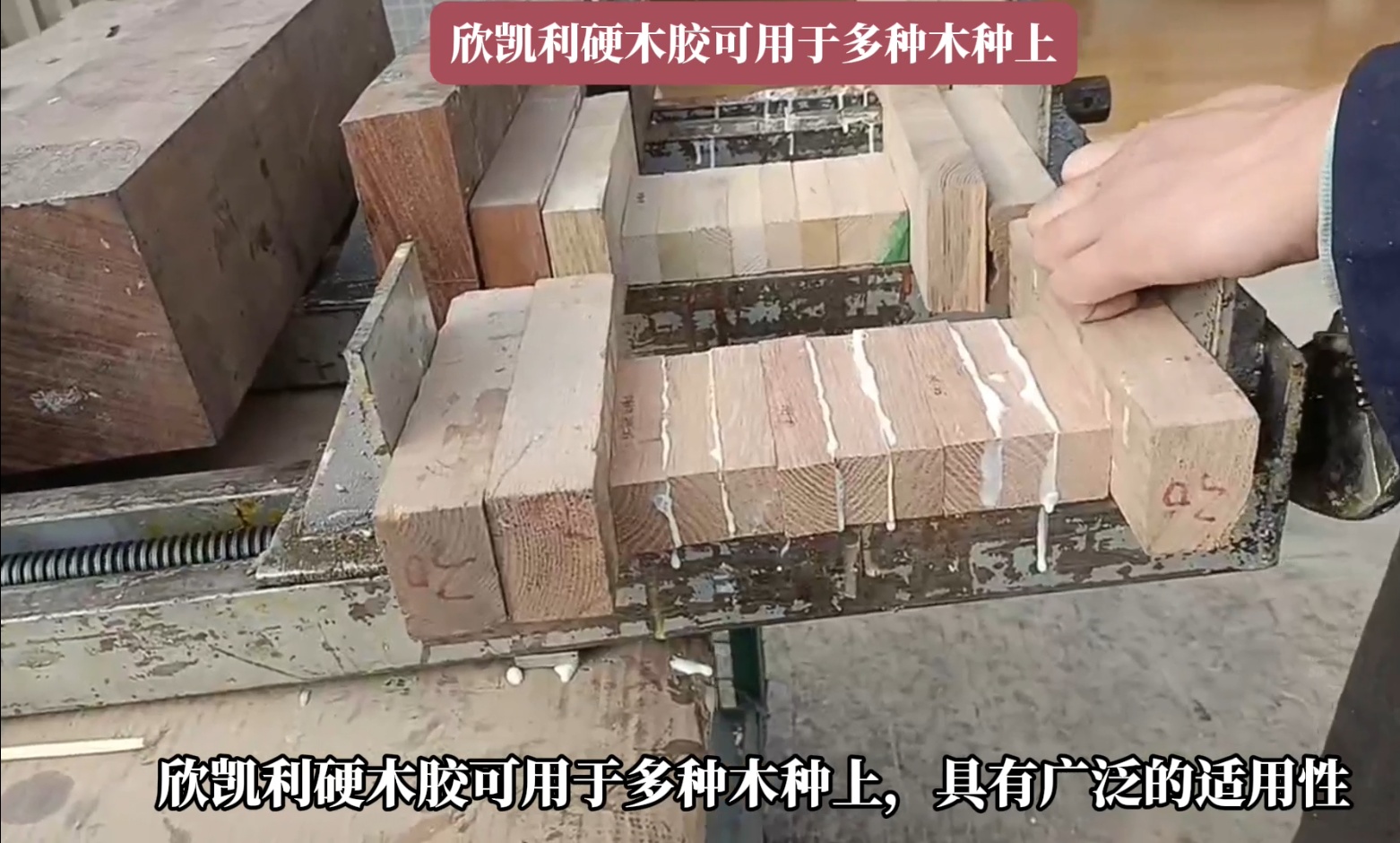 欣凱利硬木膠能夠深入木材裂縫和孔洞，形成牢固的粘接層